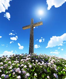 Wooden cross standing in a field of flowers